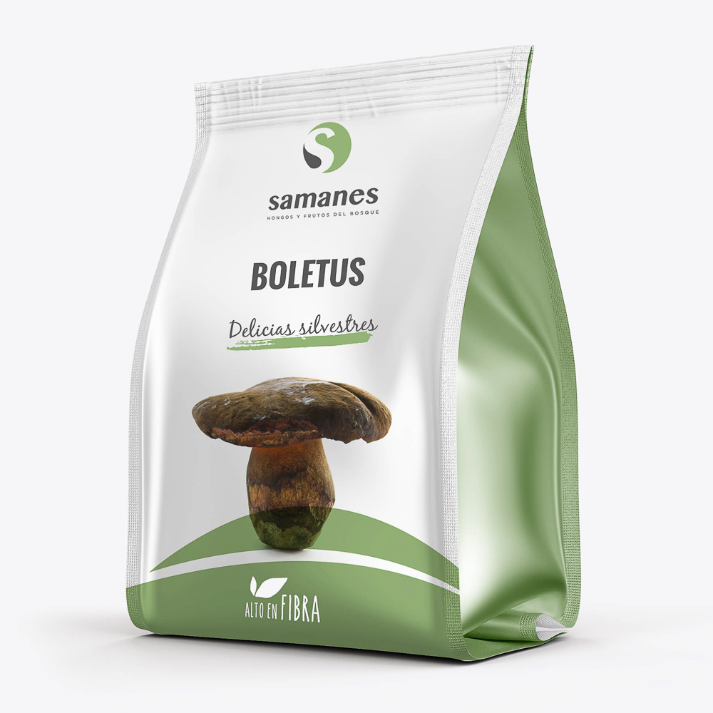 Boletus