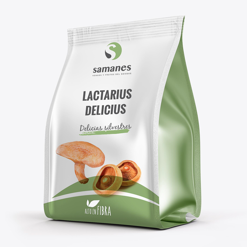 Lactarius Delicius