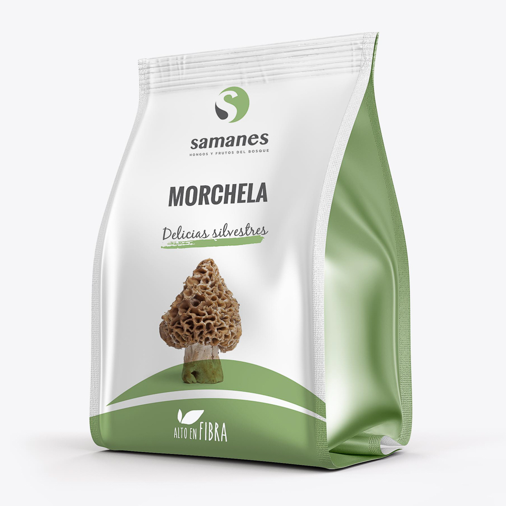 Morchela